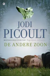 Omslag van De andere zoon