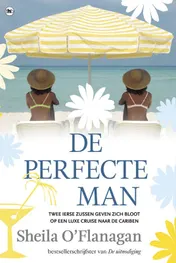 Omslag van De perfecte man
