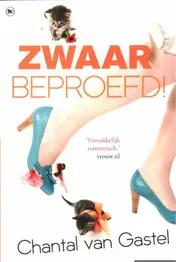 Omslag van Zwaar beproefd