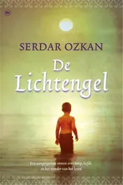 Omslag van De lichtengel