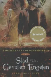 Omslag van Stad van gevallen engelen