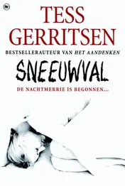Omslag van Sneeuwval
