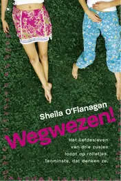 Omslag van Wegwezen