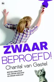 Omslag van Zwaar beproefd!