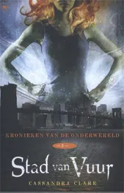Omslag van Stad van vuur