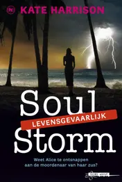Omslag van Soul storm