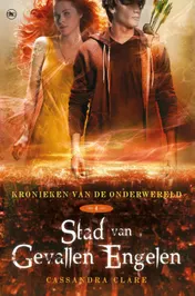Omslag van Stad van gevallen engelen