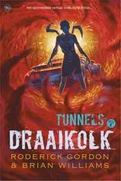 Omslag van Draaikolk
