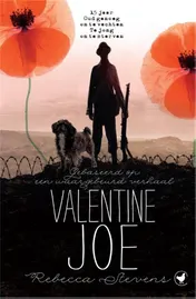 Omslag van Valentine Joe