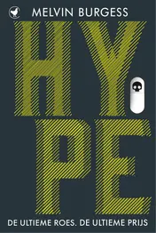 Omslag van Hype