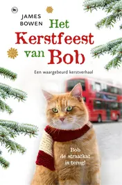 Omslag van Het kerstfeest van Bob