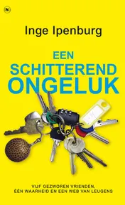 Omslag van Een schitterend ongeluk