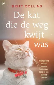 Omslag van De kat die de weg kwijt was