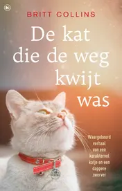 Omslag van De kat die de weg kwijt was
