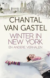 Omslag van Winter in New York en andere verhalen