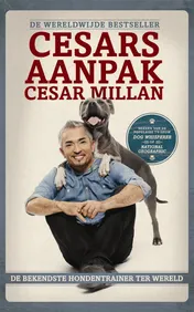 Omslag van Cesars aanpak