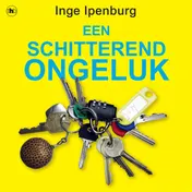 Omslag van Een schitterend ongeluk