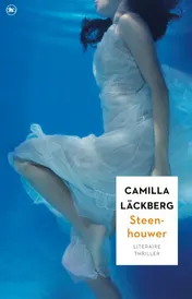 Omslag van Steenhouwer