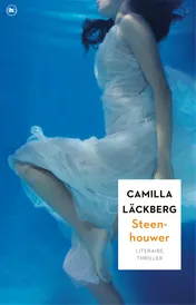 Omslag van Steenhouwer