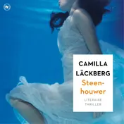 Omslag van Steenhouwer
