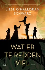 Omslag van Wat er te redden viel