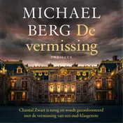 Omslag van De vermissing