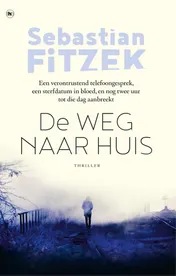 Omslag van De weg naar huis