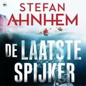 Omslag van De laatste spijker
