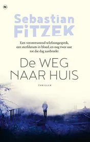 Omslag van De weg naar huis