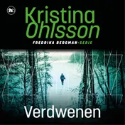 Omslag van Verdwenen