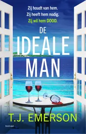 Omslag van De ideale man