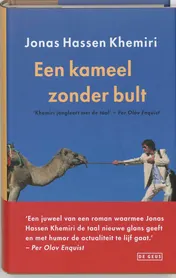 Omslag van Een kameel zonder bult