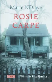 Omslag van Rosie Carpe