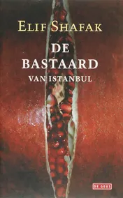 Omslag van De bastaard van Istanbul