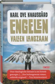 Omslag van Engelen vallen langzaam