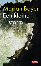 Omslag van Een kleine storm