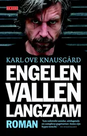 Omslag van Engelen vallen langzaam