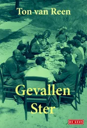 Omslag van Gevallen ster