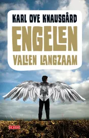 Omslag van Engelen vallen langzaam