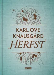 Omslag van Herfst