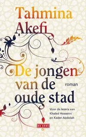Omslag van De jongen van de oude stad