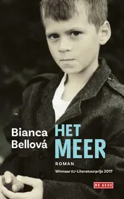 Omslag van Het meer