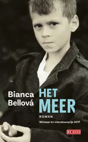 Omslag van Het meer