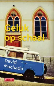 Omslag van Geluk op schaal