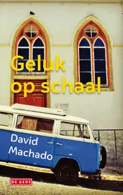 Omslag van Geluk op schaal