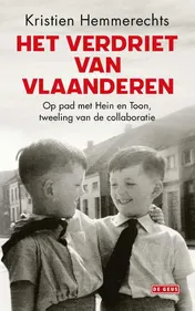 Omslag van Het verdriet van Vlaanderen