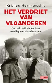 Omslag van Het verdriet van Vlaanderen