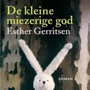 Omslag van De kleine miezerige god