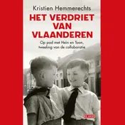 Omslag van Het verdriet van Vlaanderen