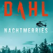 Omslag van Nachtmerries